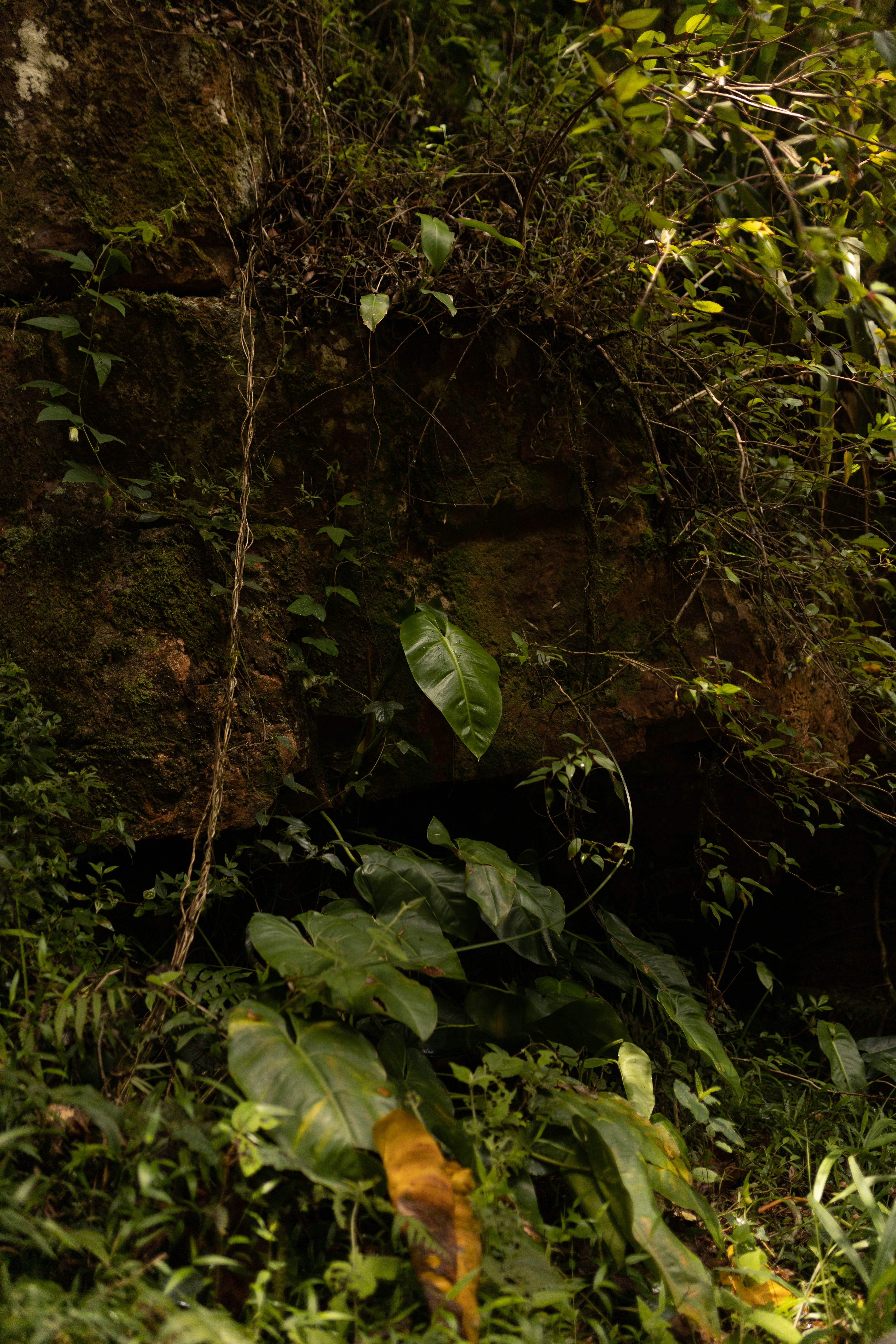 Photo by alexandermassph