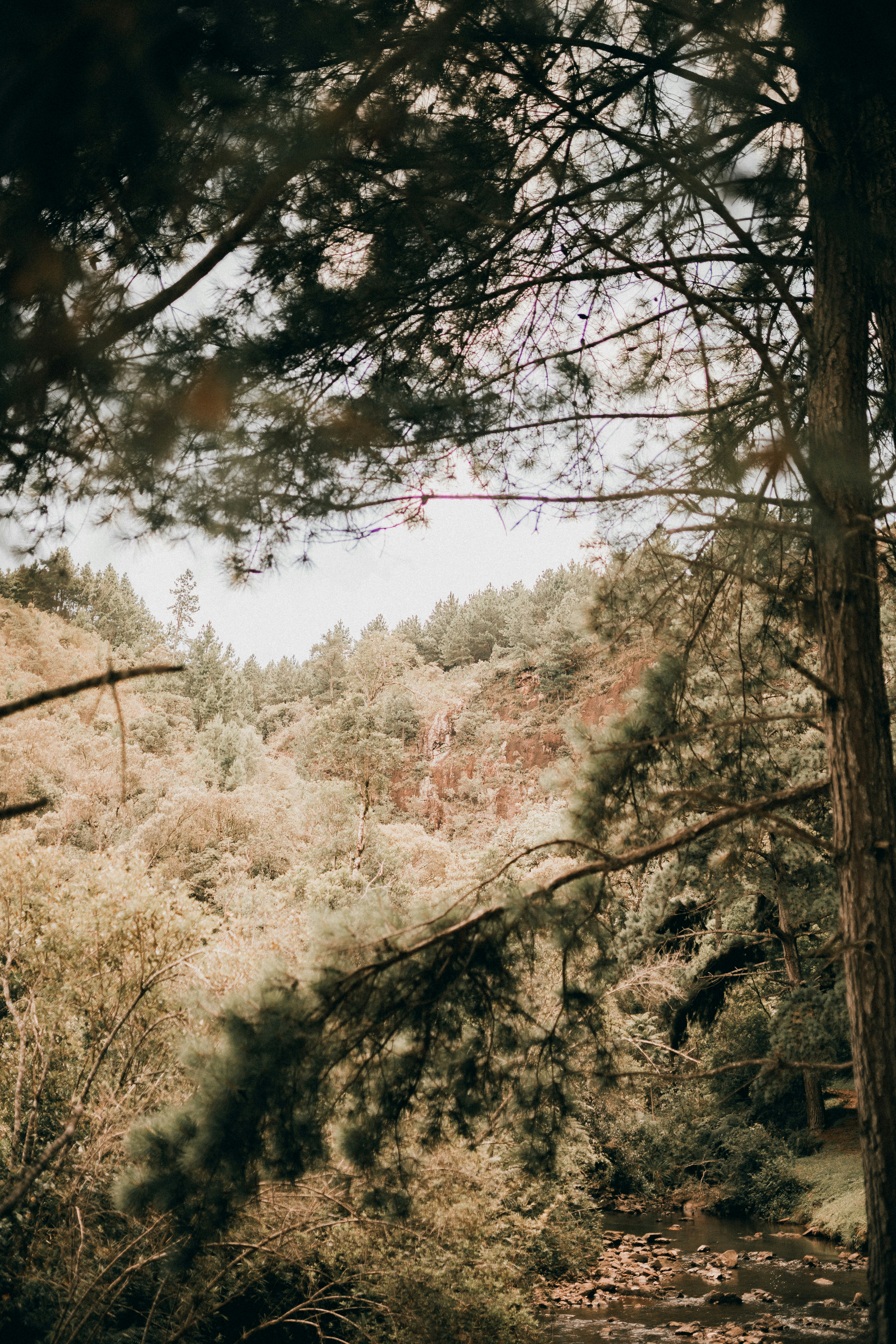 Photo by alexandermassph