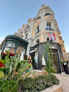 The image depicts an elegant building with intricate architectural details and multiple balconies. The structure features a pale facade with ornate black iron railings and decorative masonry. In the foreground, there is lush green foliage, including large cactus plants and neatly arranged potted plants. The setting conveys a sense of luxury, as it is adjacent to a high-end store with the name 'Cartier' visible. Flags are mounted above the entrance, suggesting a prestigious location.