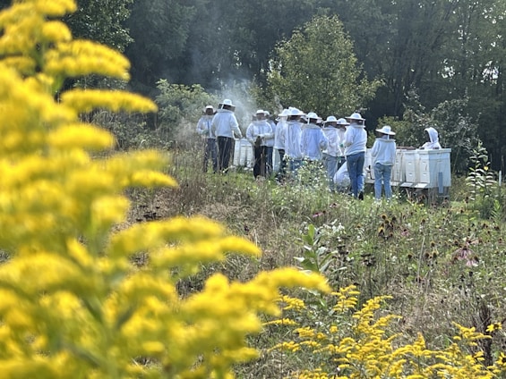 A group of community members smiling and tending to beehives in a lush garden.