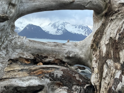 A rustic driftwood frame holding a photo of the Irish coastline.