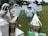 A group of people wearing protective beekeeping suits with veils stand in a grassy field. Two metal bee smokers are in the foreground, emitting smoke. The individuals are dressed uniformly, with white suits and green gloves, and trees are visible in the background.