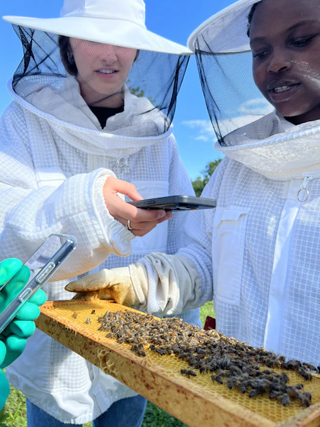 two women in bee suits holding a tray of bees