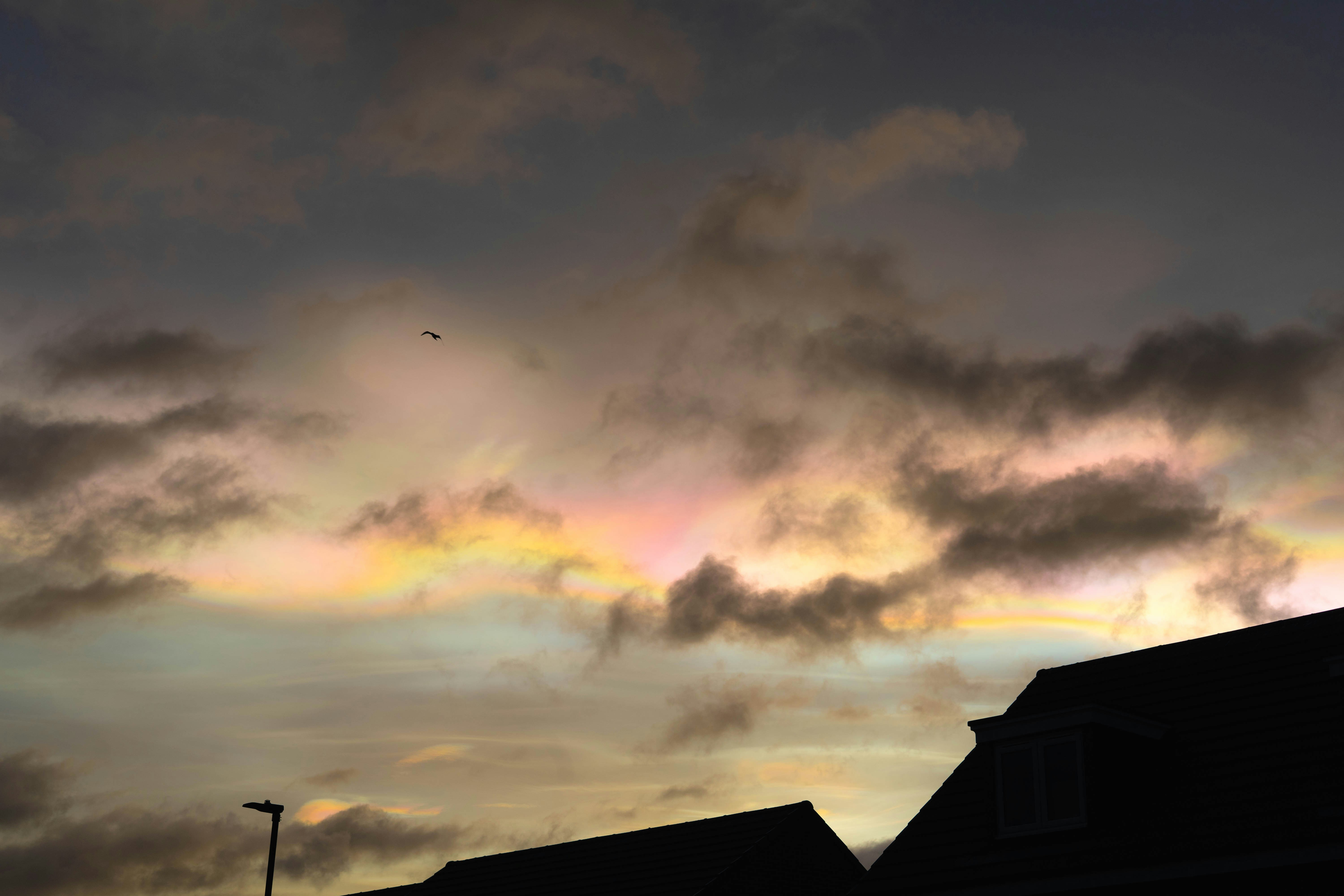 a cloudy sky with a bird flying in the distance