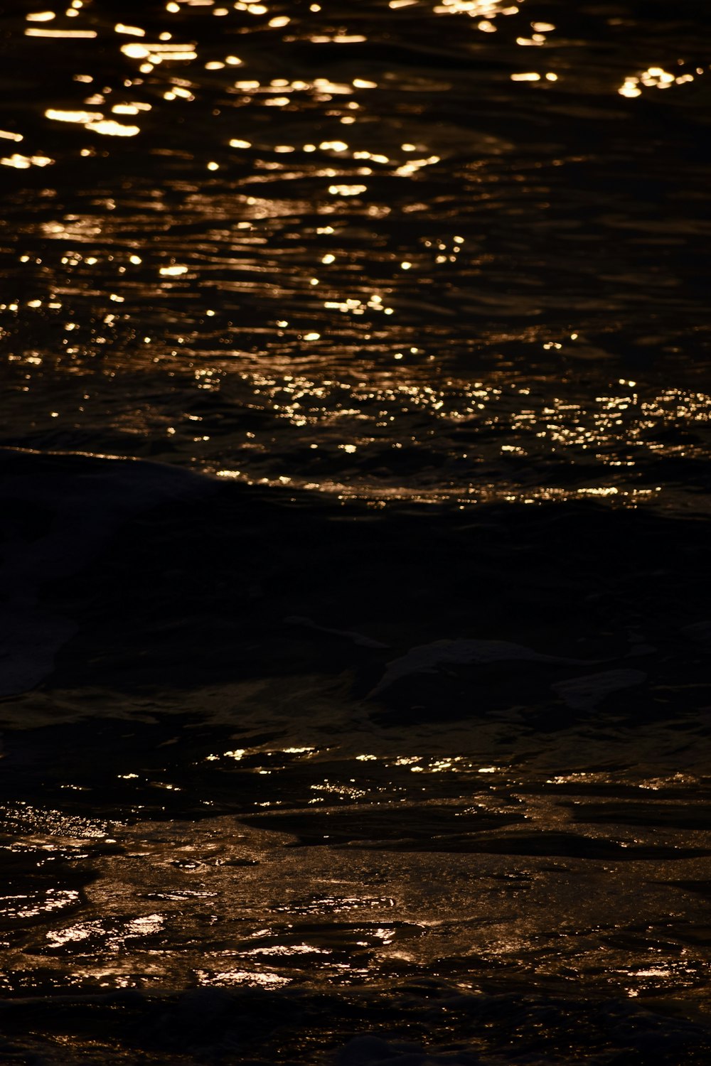 a bird is standing in the water at night