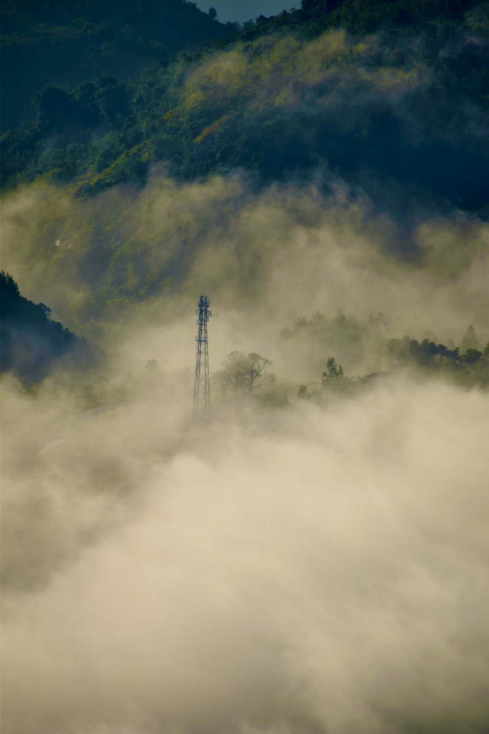 a tower in the middle of a foggy forest