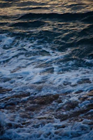 Soft ocean waves with white foam rolling onto a sandy shore at golden hour.