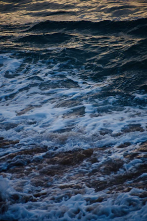 Soft ocean waves with white foam rolling onto a sandy shore at golden hour.