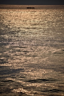 Sunlight sparkling on a lazy river as a small boat drifts quietly, fishing lines cast into the water.