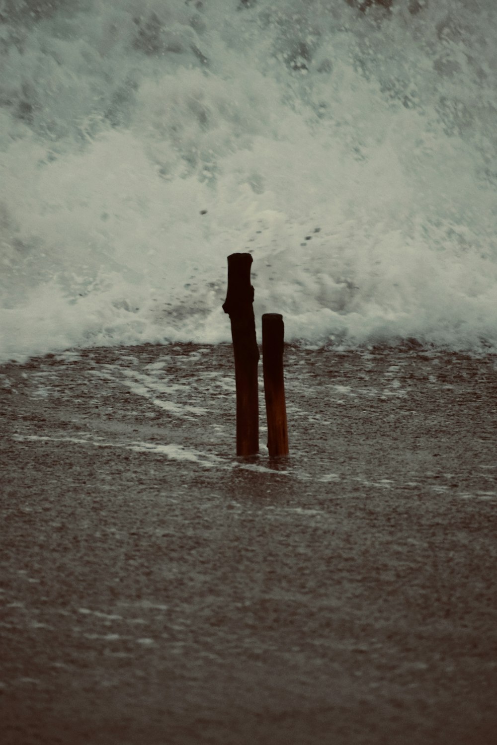 two wooden posts sticking out of the water