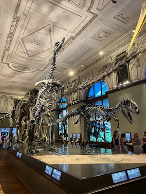 A spacious museum gallery featuring large dinosaur skeleton exhibits, including a prominent Tyrannosaurus rex and other species. The room has high ceilings with intricate architectural details, large windows, and digital displays providing information. Visitors are observing the exhibits closely.