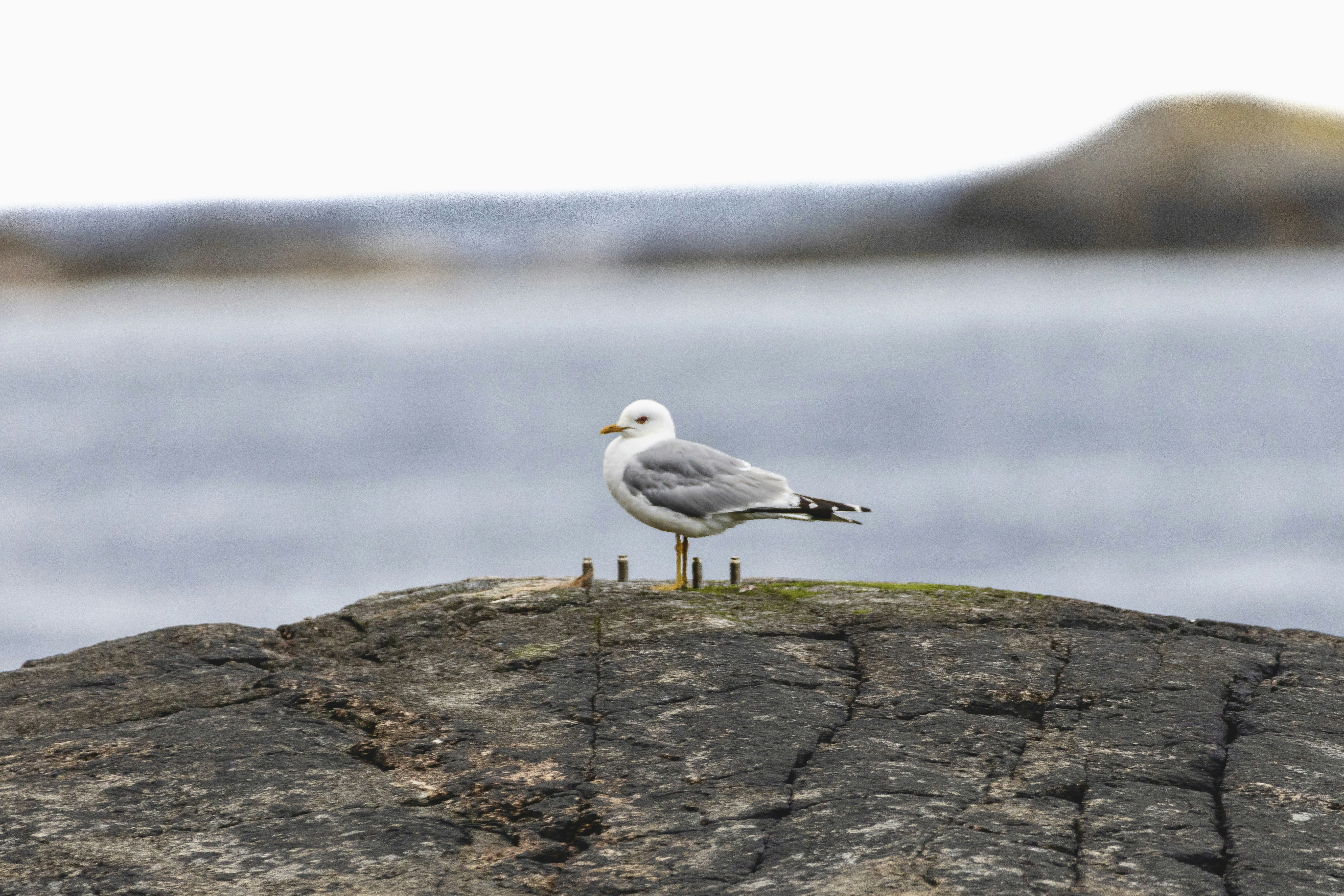Photo by stockbirken