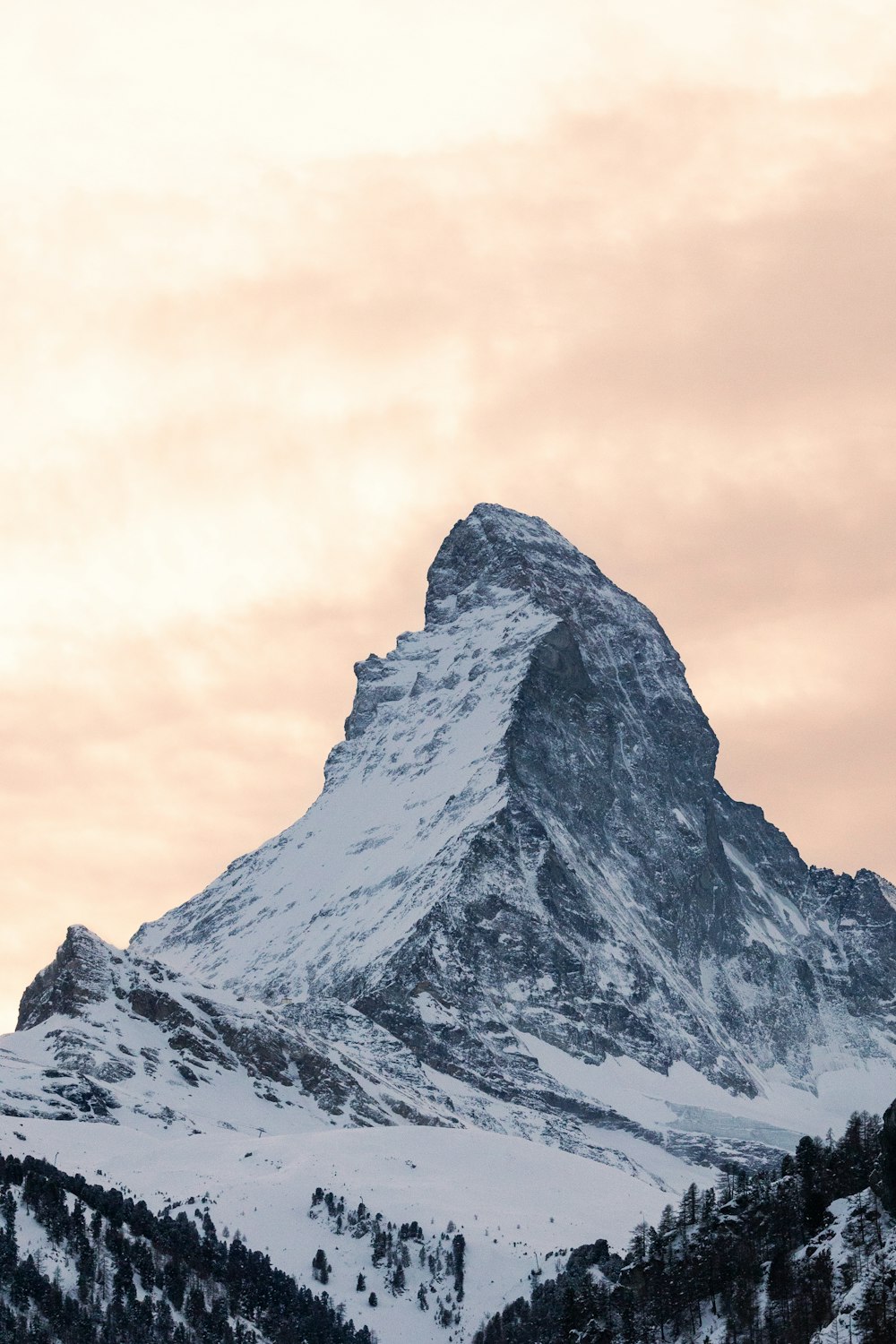 ein schneebedeckter Berg mit Bäumen im Vordergrund