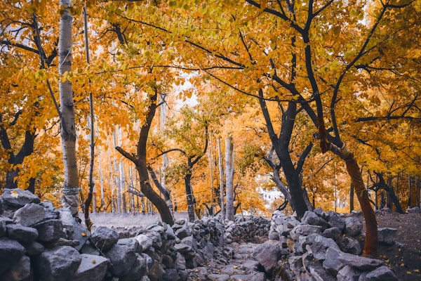Hunza Valley Cultural Tour