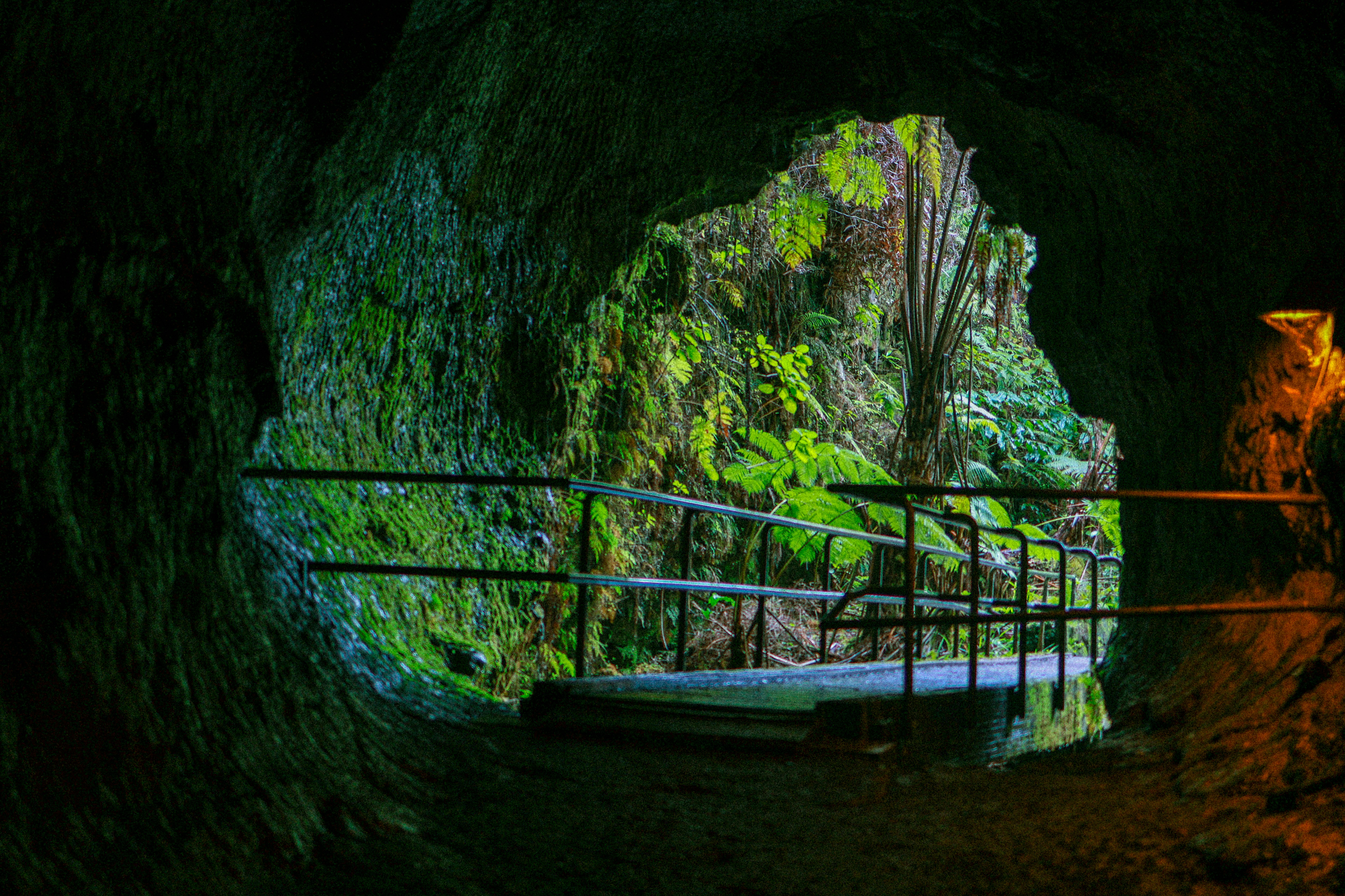 Photo by leemataushotz