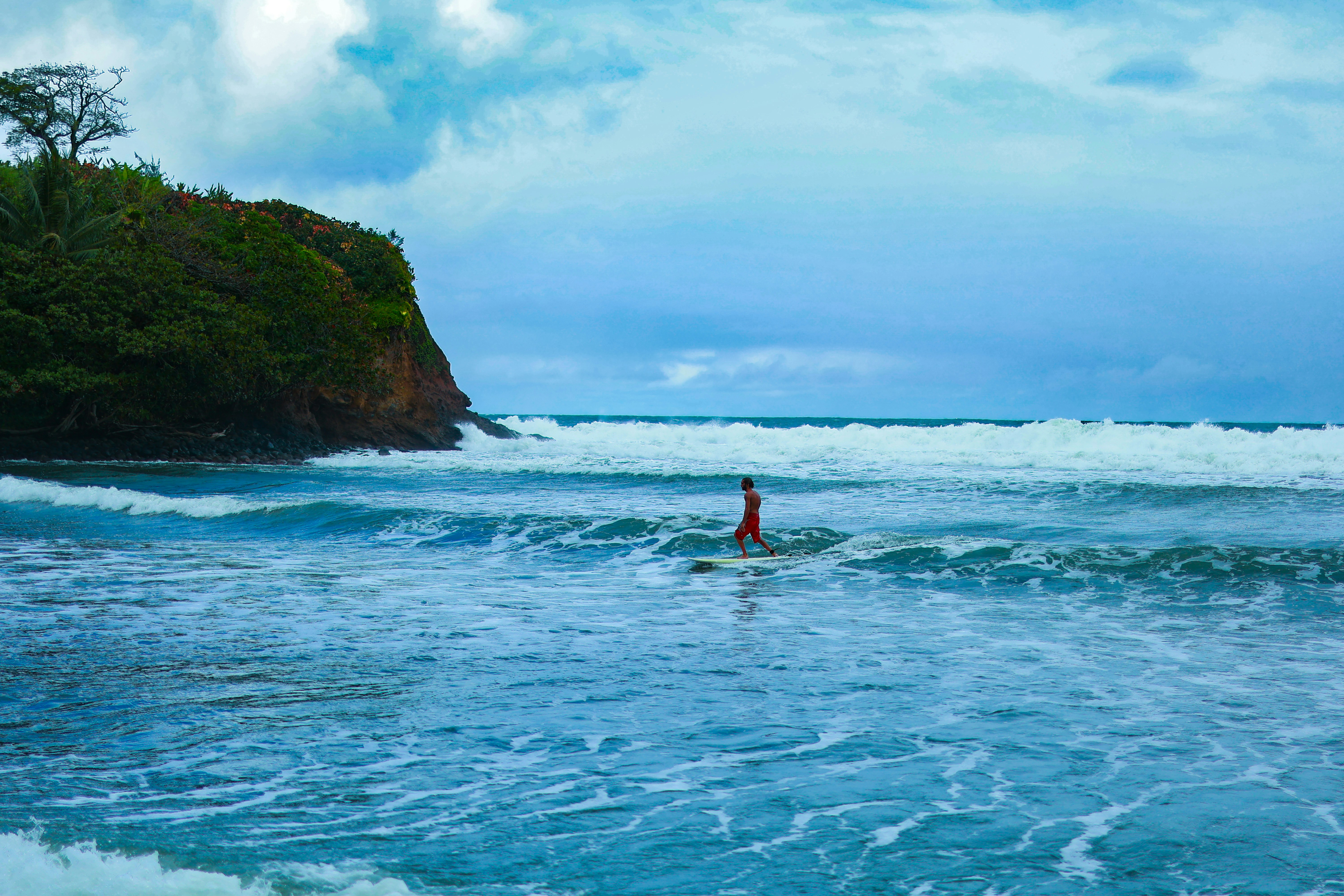 Photo by leemataushotz