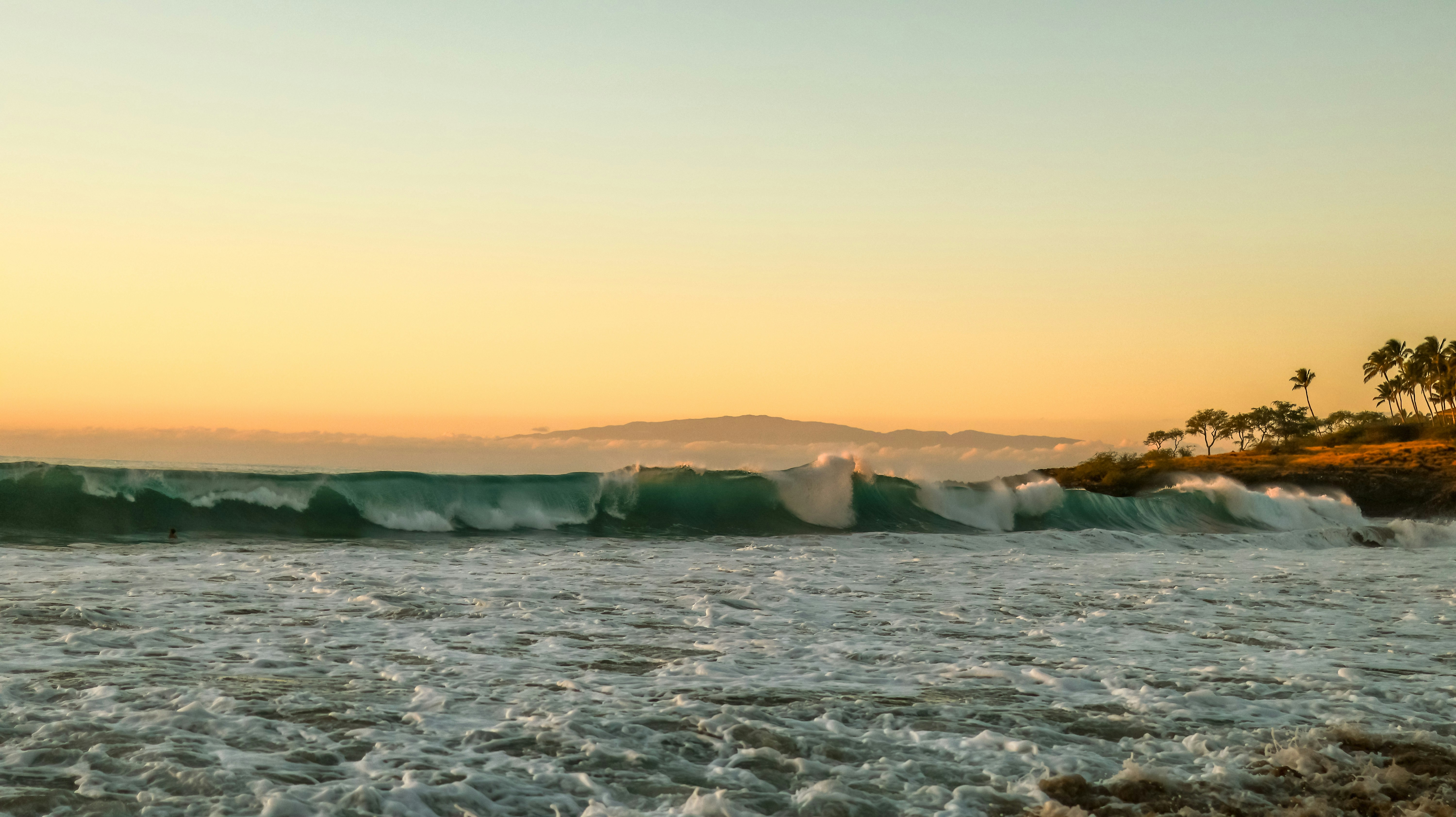 Photo by leemataushotz