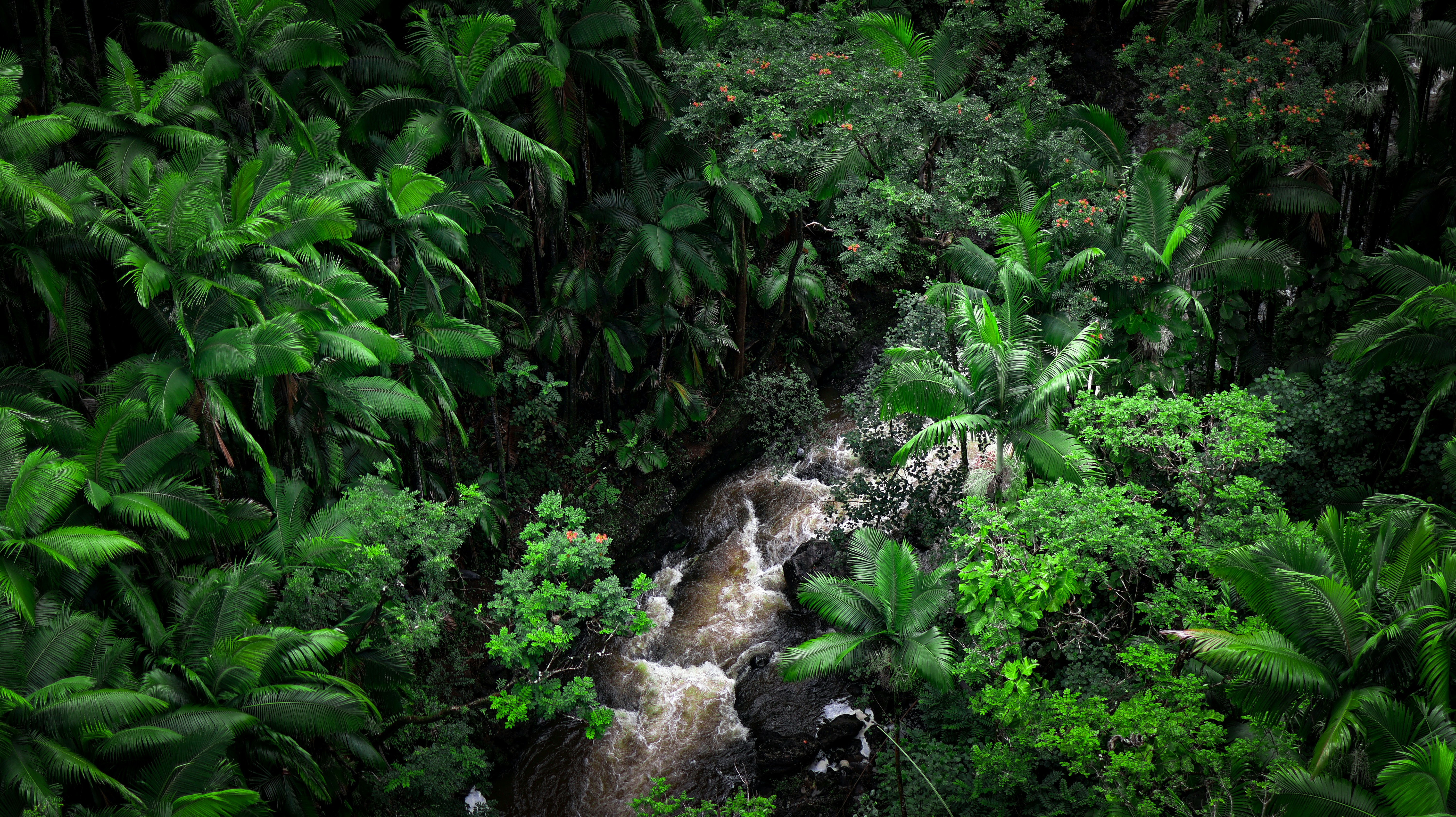 Photo by leemataushotz