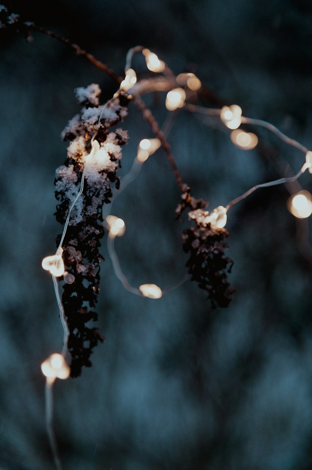 a bunch of lights that are on a tree