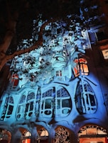 An intricately designed building facade with organic, flowing structures is illuminated by blue lighting. The architecture features a combination of curved lines, circular windows, and unique decorative elements. Tree branches in the foreground create contrasting shadows against the illuminated surface.