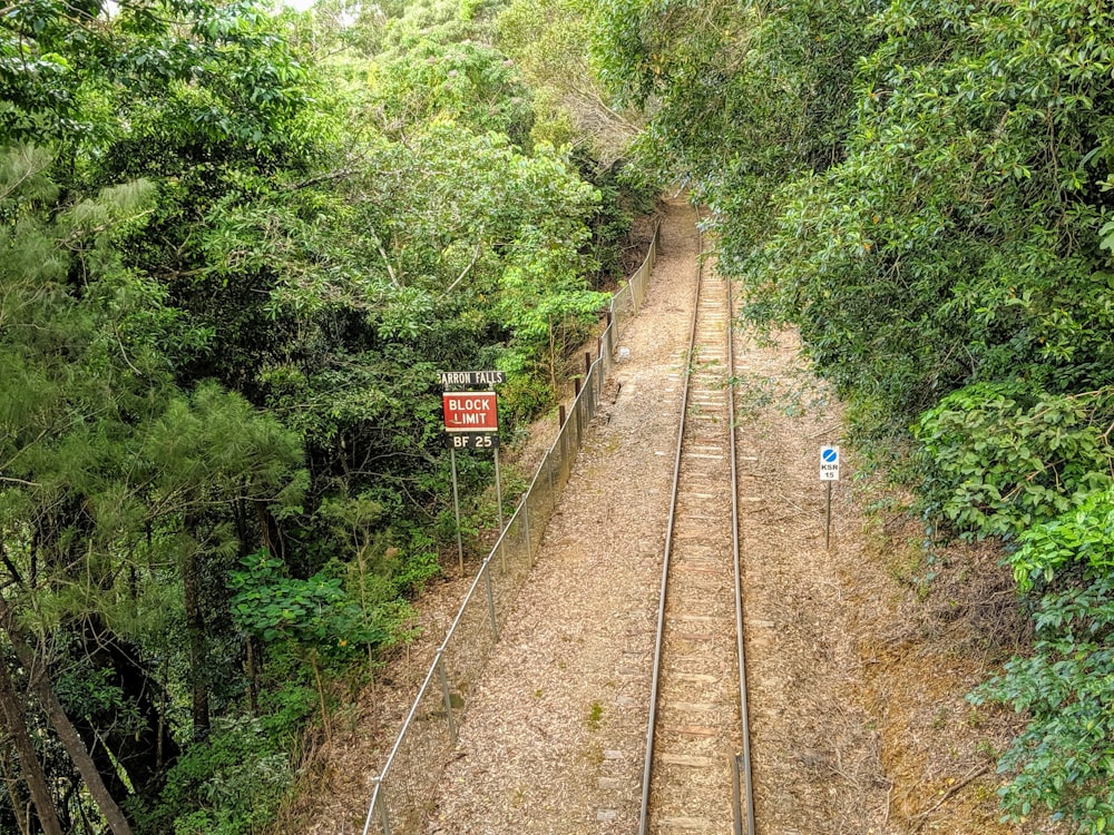 a train track running through a lush green forest