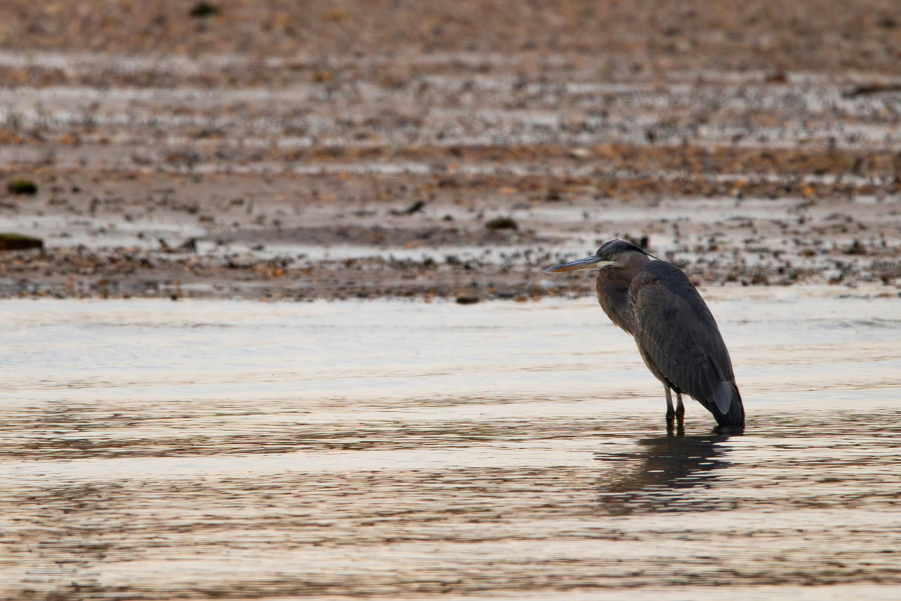 Photo by ucwhphotography