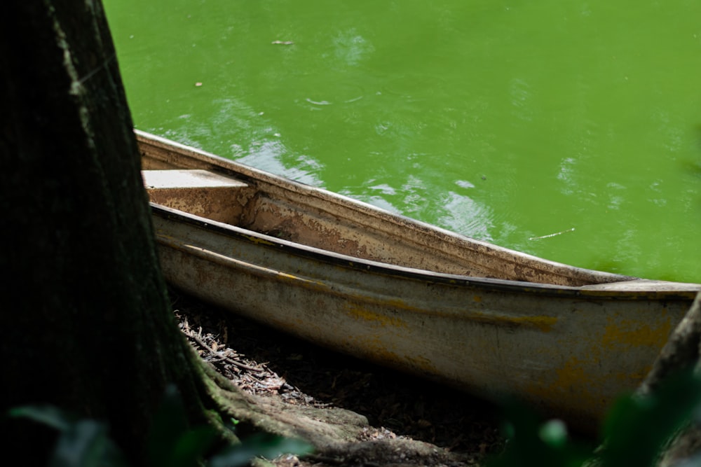 uma canoa sentada na margem de um lago