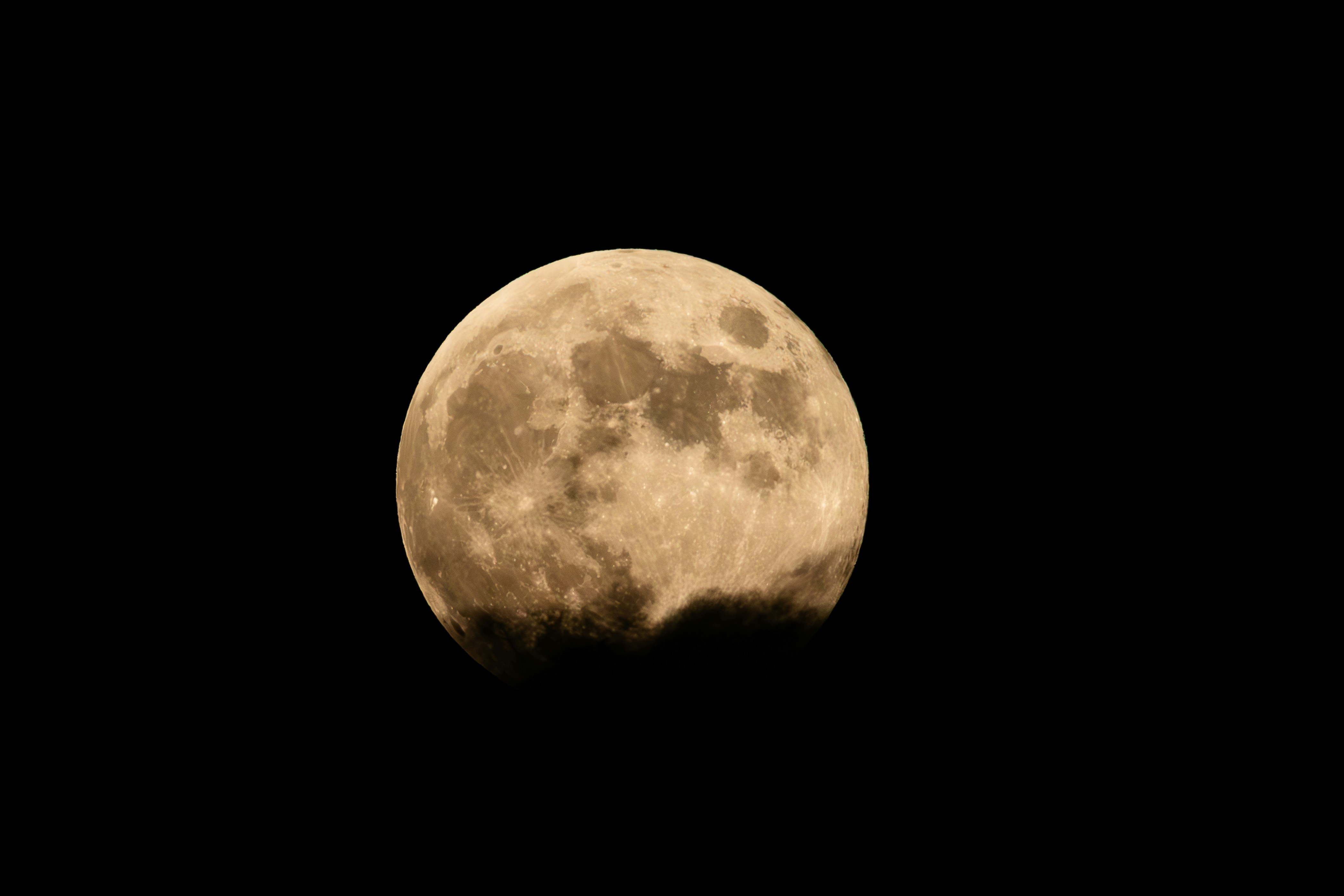 Photo by ucwhphotography