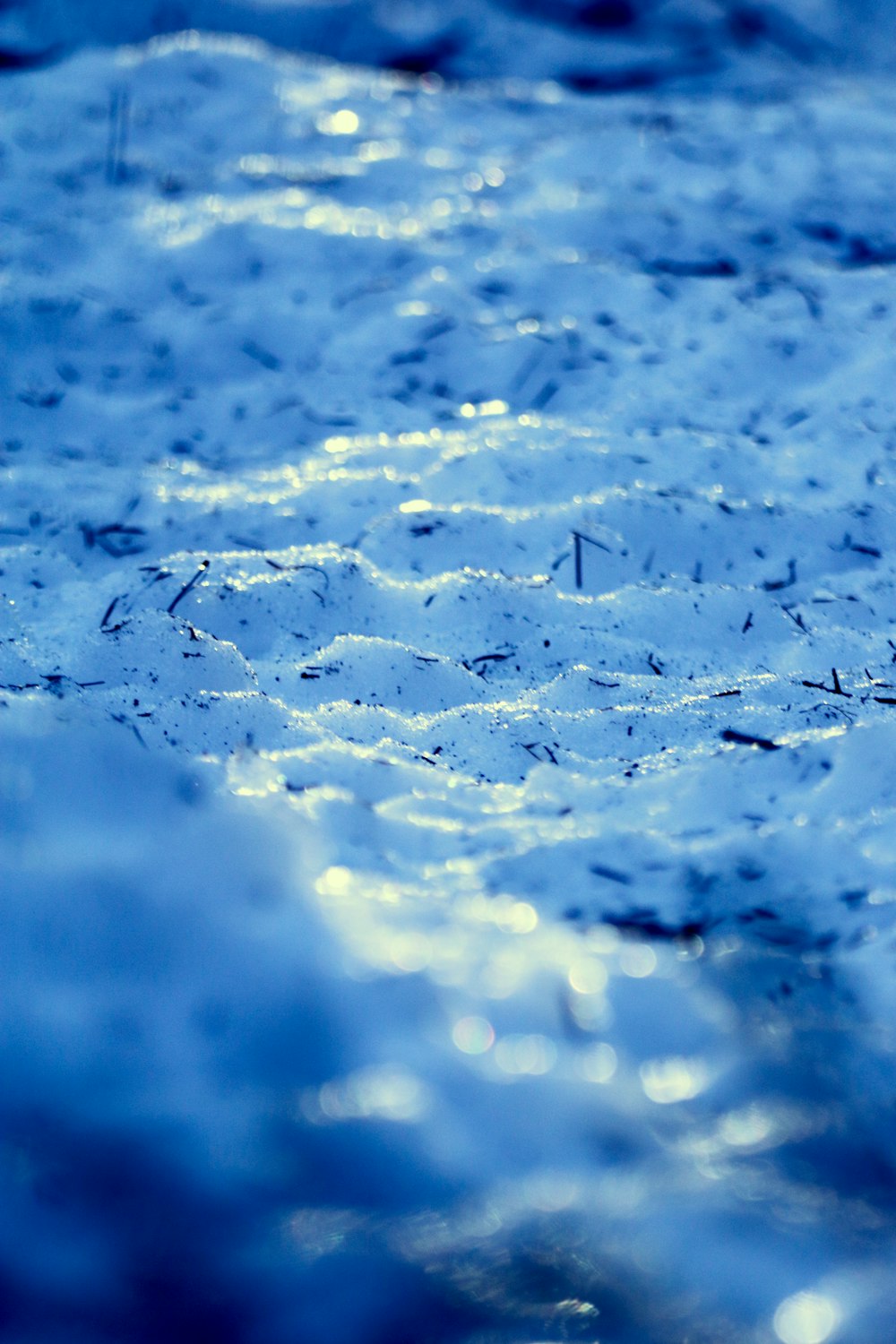 un primo piano di un terreno innevato