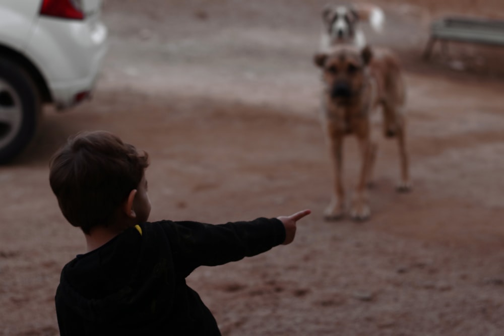 a little boy pointing at a dog on a dirt road