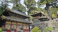 Elaborately decorated traditional Japanese buildings surrounded by lush green trees, with intricate wooden carvings and a combination of red, gold, and black colors. The scene includes stone lanterns and carefully manicured shrubs, creating a serene and historical atmosphere.