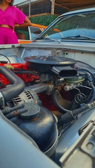 A detailed view of a car engine with various components such as hoses, wires, and metallic parts. In the background, a person wearing a bright pink outfit stands next to a car with an orange exterior and brown interior. The setting appears to be an outdoor area with a chain-link fence covered in green foliage.