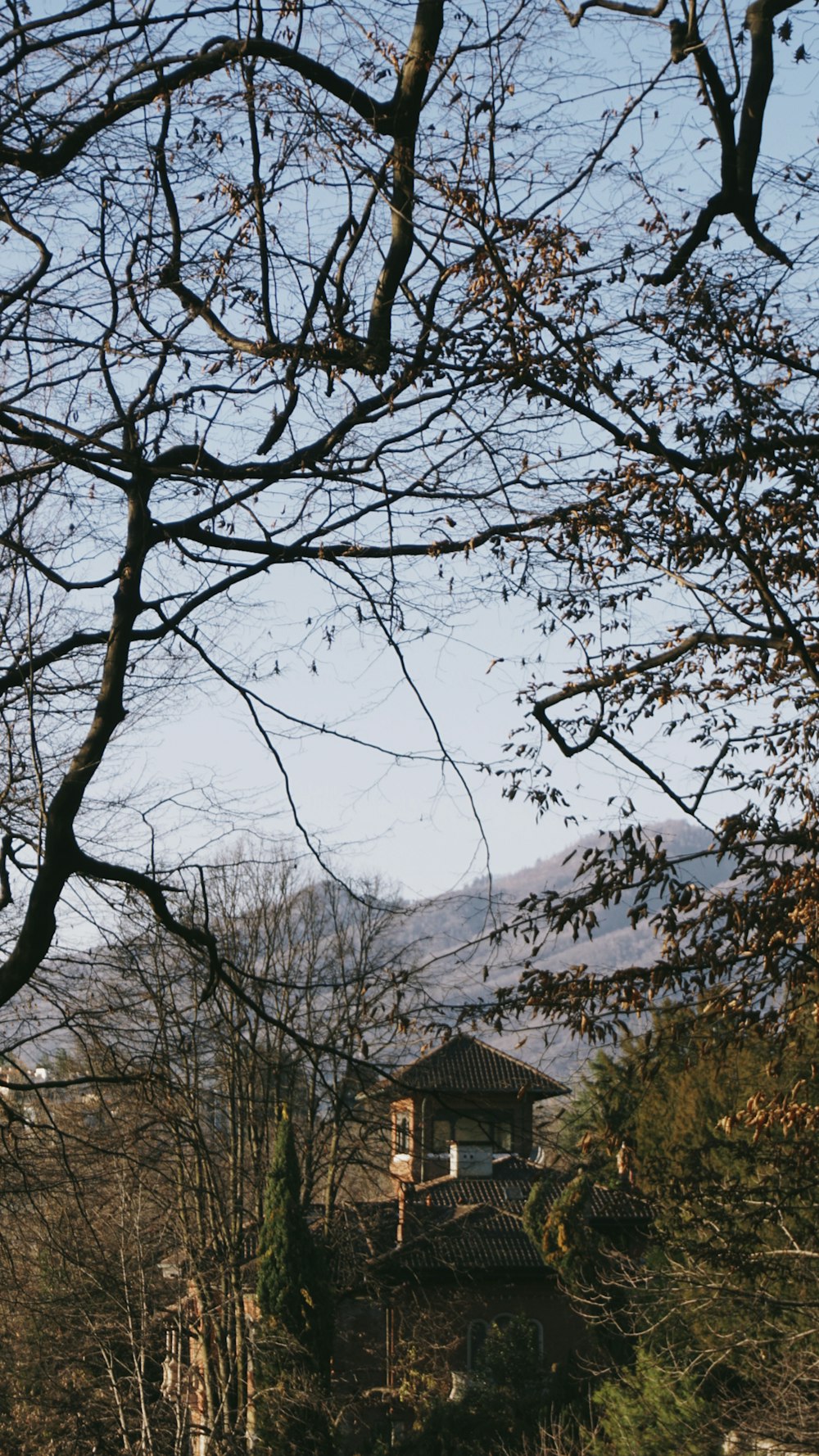 a house in the middle of a wooded area