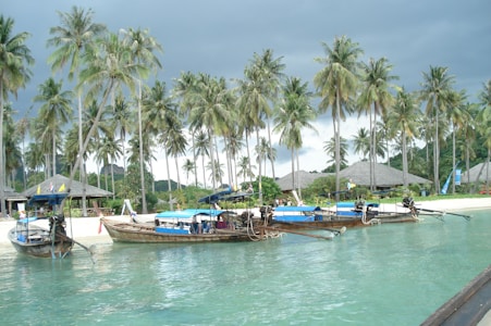 A serene tropical beach scene features long-tail boats moored near the shoreline, with towering palm trees swaying gently in the background. Traditional thatched-roof huts are nestled among the greenery, and the sky is overcast with dark clouds adding a dramatic backdrop to the scene.