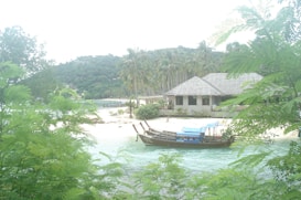 Photo 1703199255878 C9b652155077?q=85&w=273&h=462&fit=crop