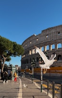 A view of the iconic Colosseum in Rome with its ancient structure illuminated by sunlight. A large seagull is flying in the foreground, while another one stands on the ground. People are walking on the sidewalk near the Colosseum. Trees and street signs are also visible.