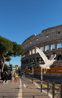 A view of the iconic Colosseum in Rome with its ancient structure illuminated by sunlight. A large seagull is flying in the foreground, while another one stands on the ground. People are walking on the sidewalk near the Colosseum. Trees and street signs are also visible.