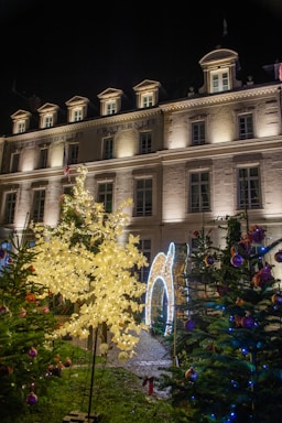 A beautifully decorated area featuring a stone building with French architectural style, illuminated with soft lighting. The words 'Liberté, Égalité, Fraternité' are visible at the top. The foreground features decorated trees with glowing white lights and ornaments, and a glowing arch structure, suggesting a festive atmosphere.