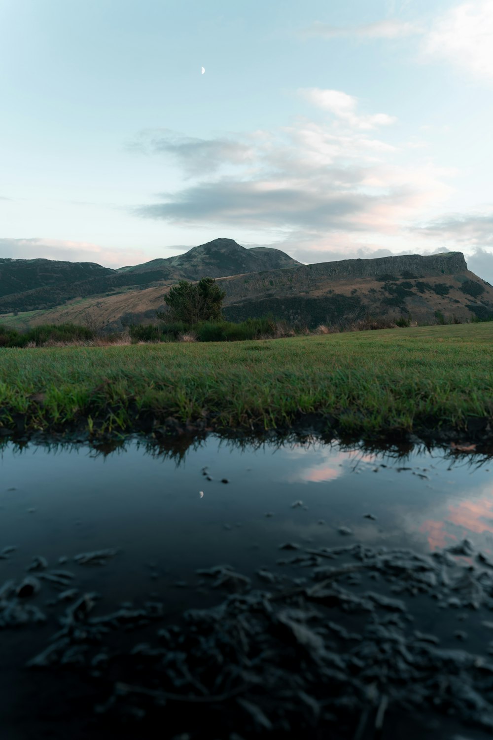 a small pond in a grassy field with mountains in the background