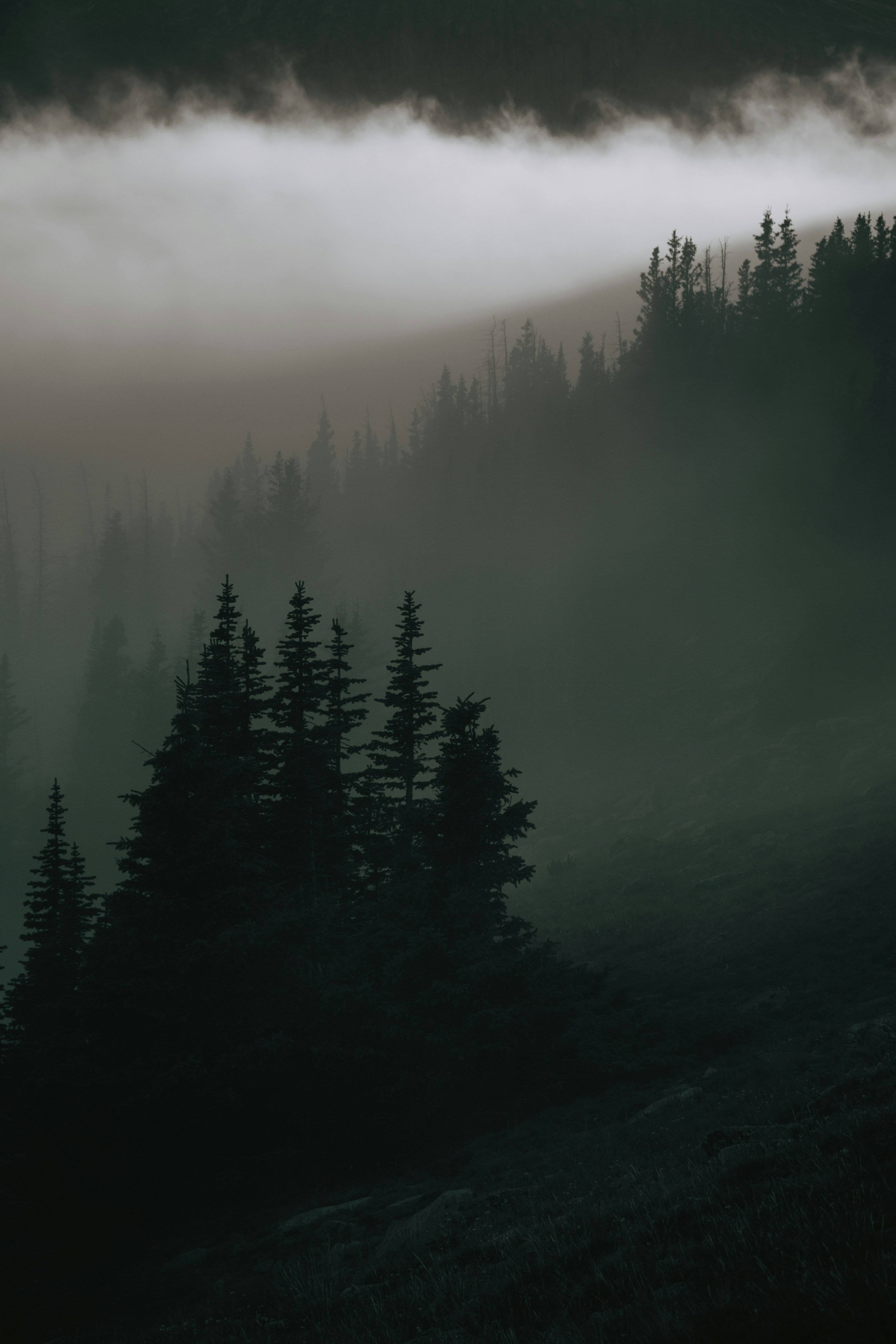 Photo by timmossholder