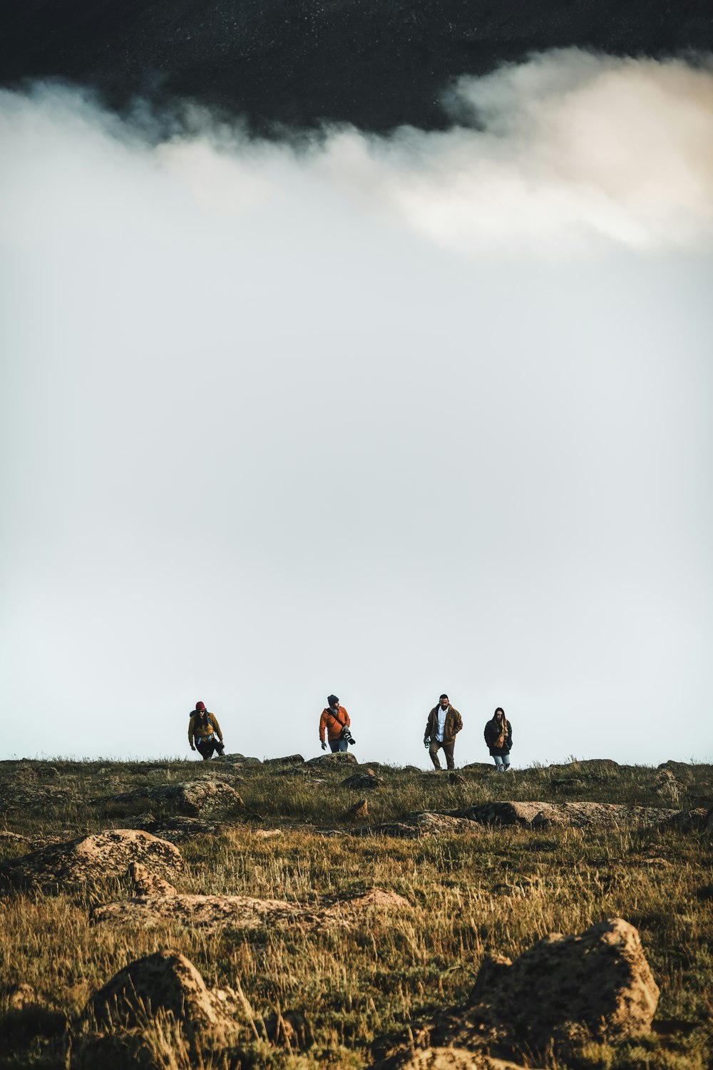 un groupe de personnes marchant à travers un champ couvert d’herbe