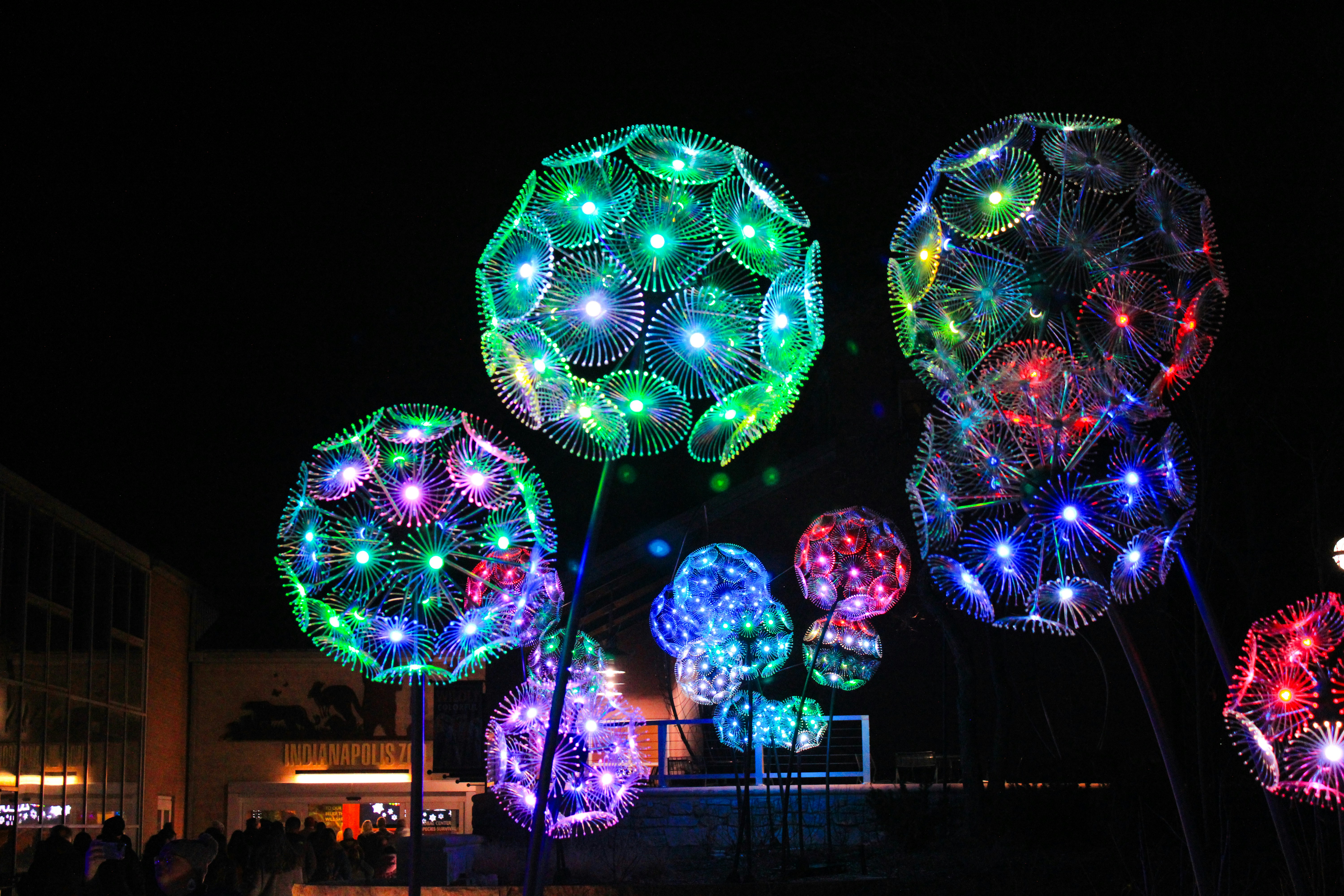 a bunch of lights that are in the dark