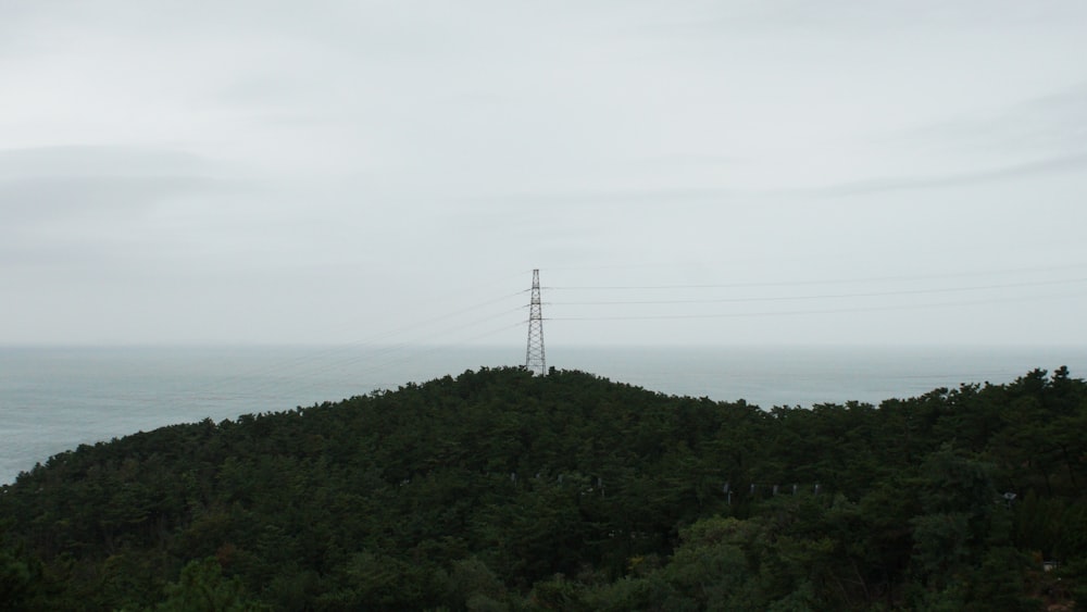 a hill with a telephone pole on top of it