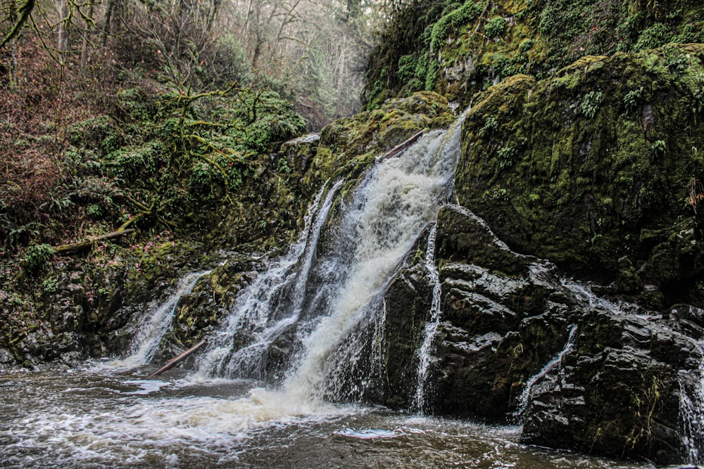 a small waterfall in the middle of a forest