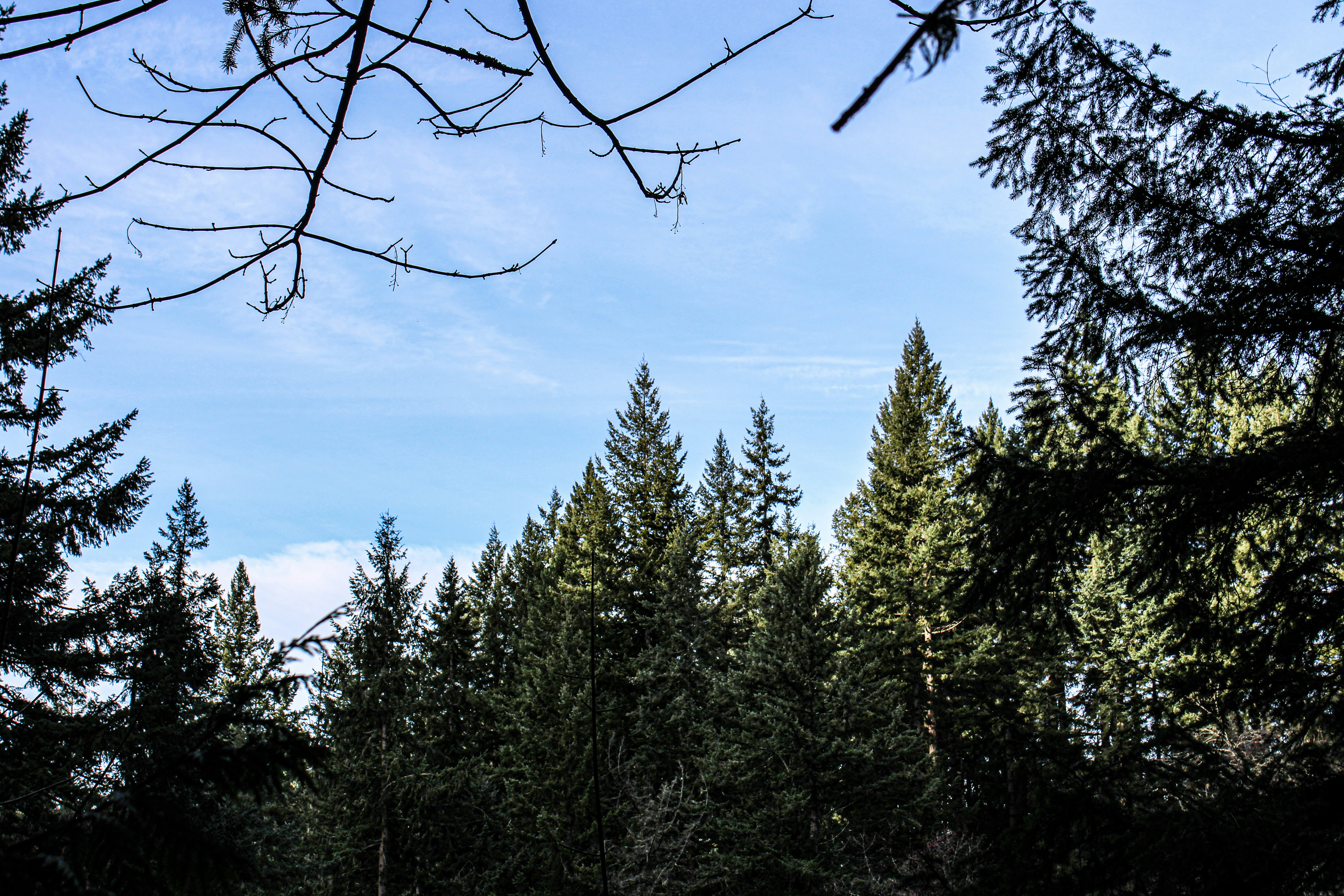 Photo by prphotography262