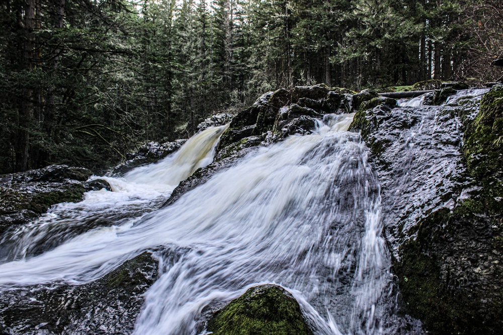 a small waterfall in the middle of a forest