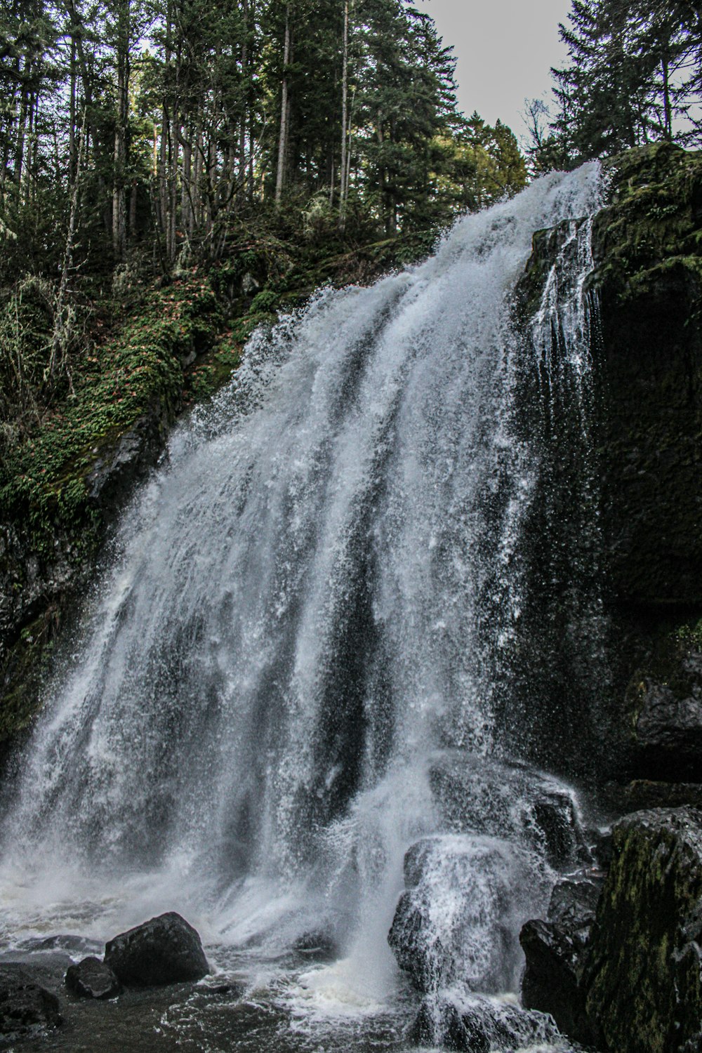 Une grande cascade au milieu d’une forêt