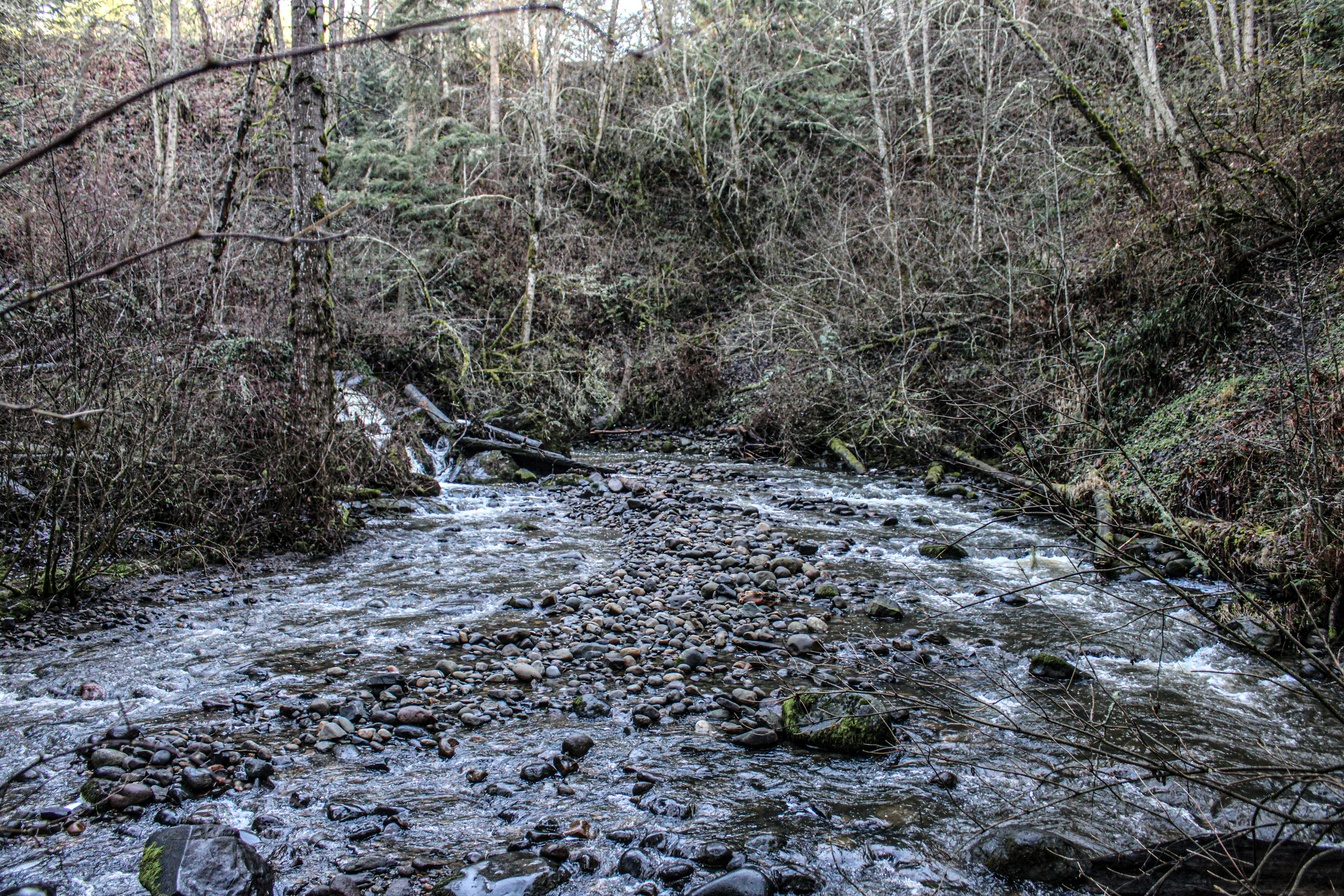 Photo by prphotography262