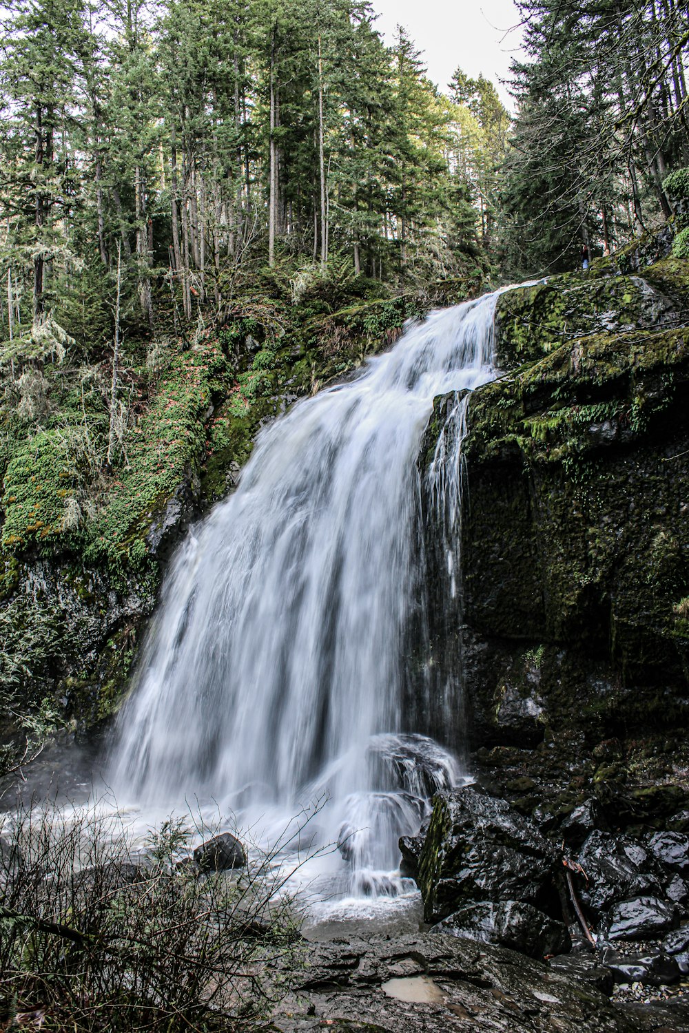 a large waterfall in the middle of a forest