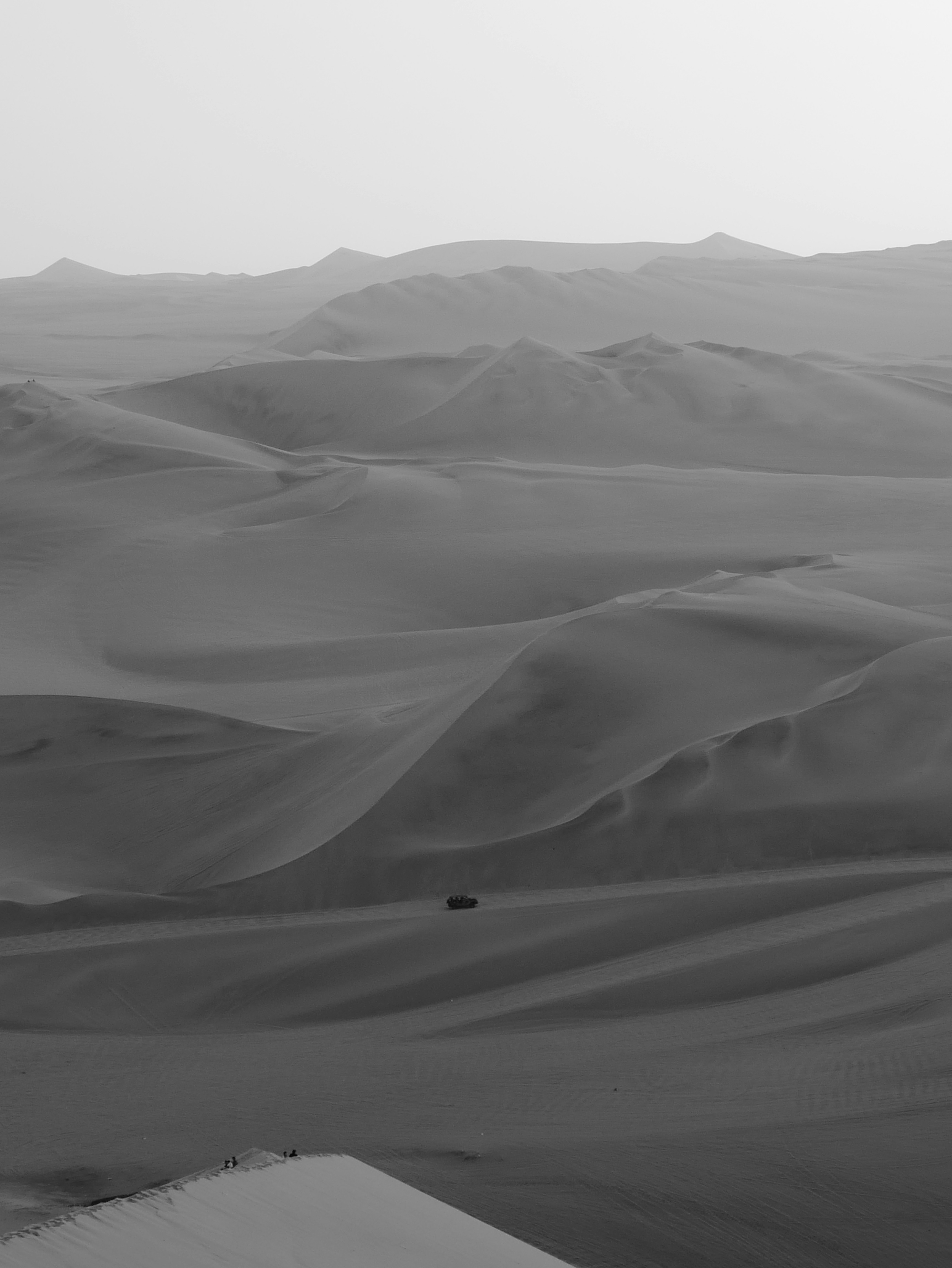 Photo by andralapusan